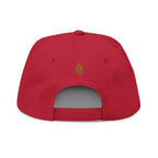 StoneYer Geometric Eye Embroidered Flat-Bill Cap