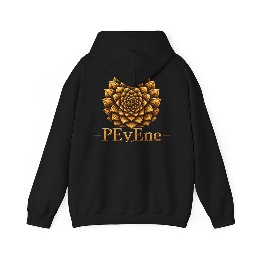 StoneYer Higher Vision Hoodie